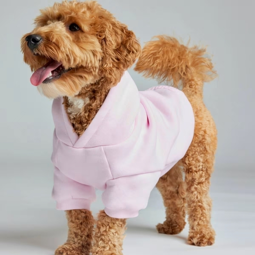 Minimalist Dog Hoodie